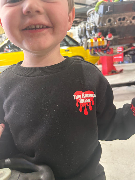 Matching kids Mother’s Day sweatshirt - Mother of Mayhem, Tiny Human Union, MoM, family matching jumpers crewneck personalised mum gift